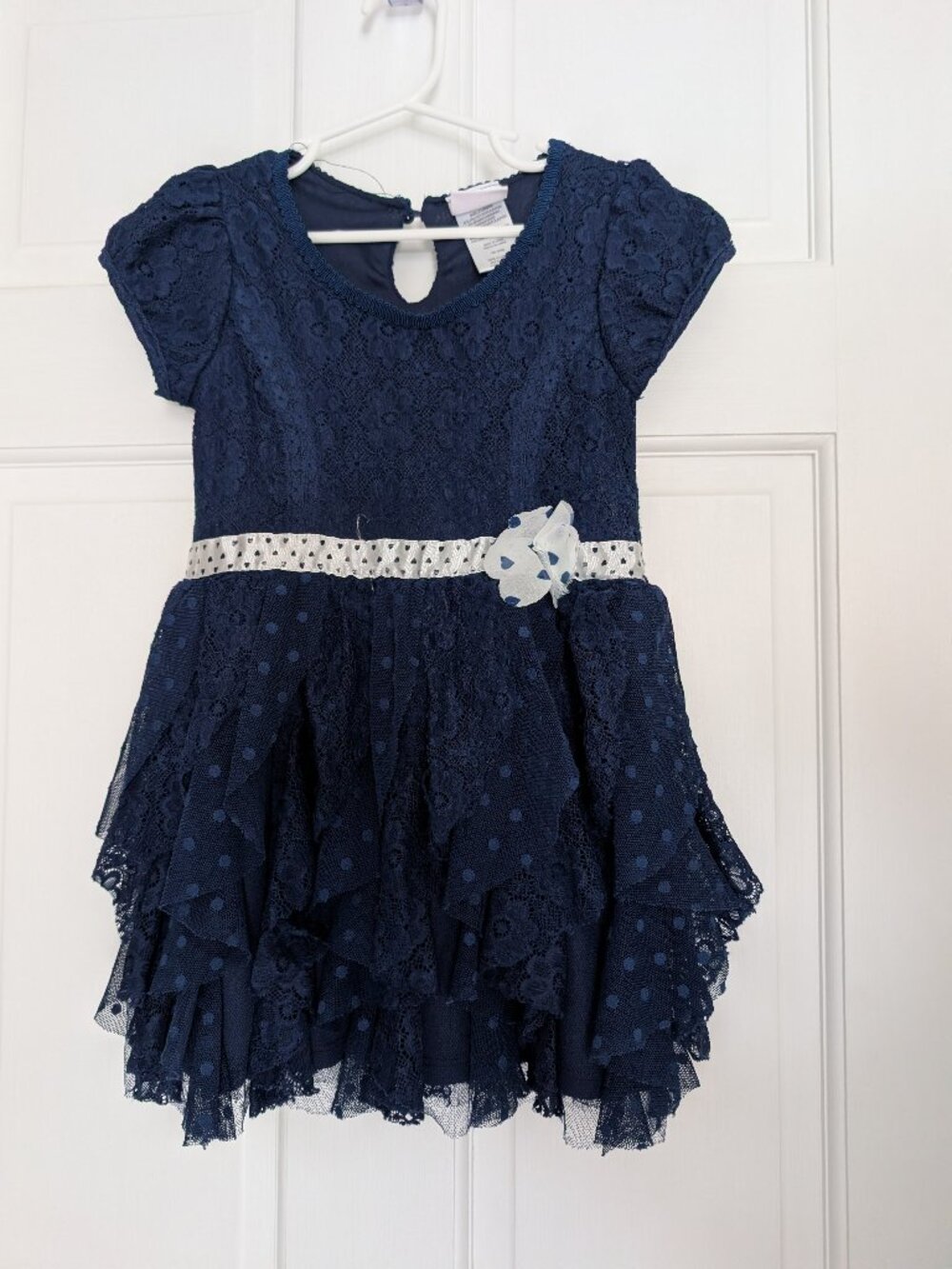 Nannette Navy Blue Dress